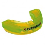powrgard