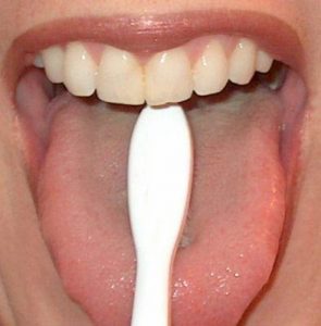 escovar-lingua